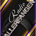  Radiowallerfangen